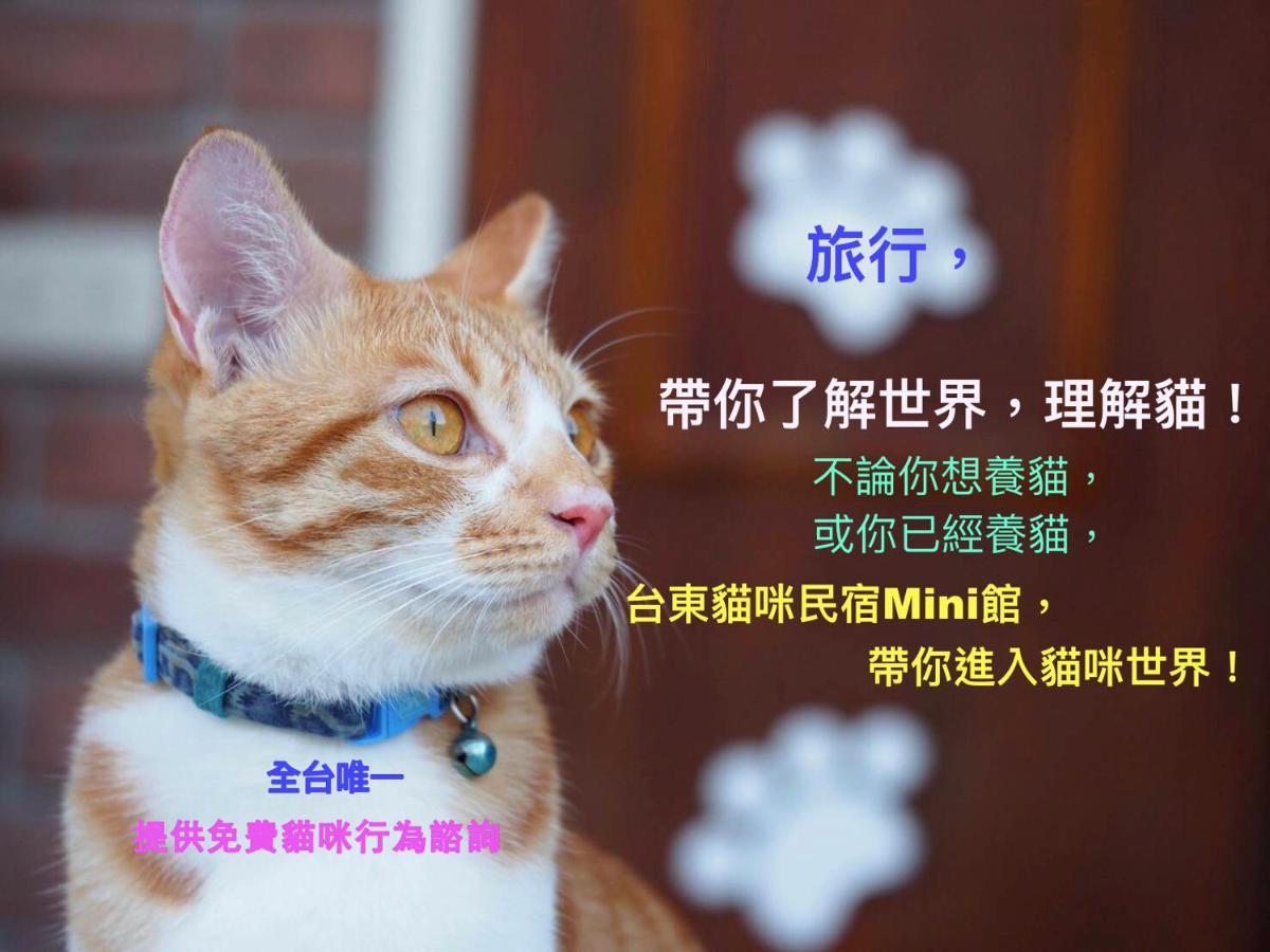 貓咪民宿mini館-中午即可入房 T'ai-tung Exteriér fotografie